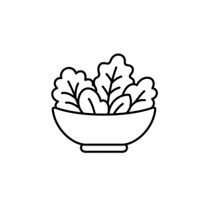 HNaralon logo